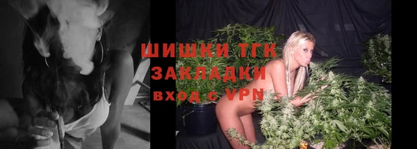 ГАЛЛЮЦИНОГЕННЫЕ ГРИБЫ Ладушкин