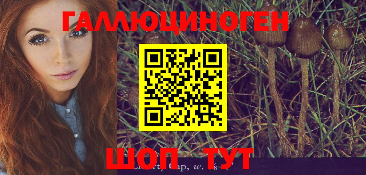Галлюциногенные грибы MAGIC MUSHROOMS  Галлюциногенные грибы мицелий  Чайковский 