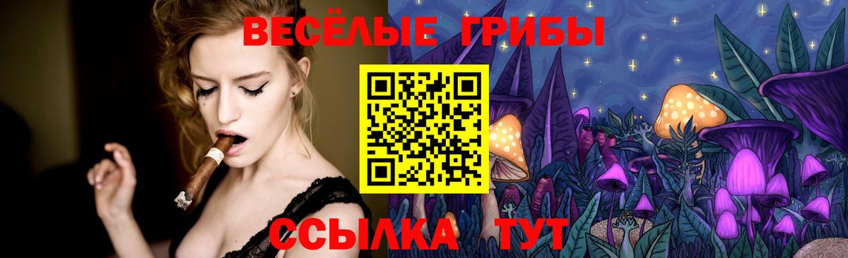 Галлюциногенные грибы GOLDEN TEACHER  Псилоцибиновые грибы Psilocybe  Вход с VPN  Чайковский 