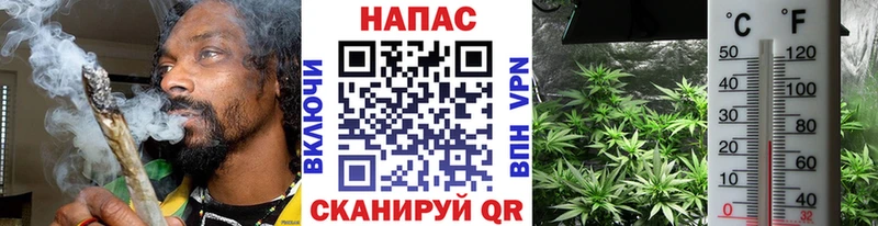 Бошки марихуана план  продажа наркотиков  Чайковский 