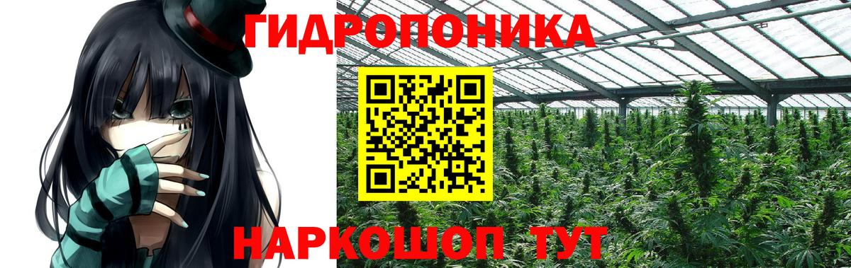 Канабис семена  Вход с VPN  Канабис OG Kush  Бошки Шишки тримм  Чайковский  Шишки марихуана THC 21% 
